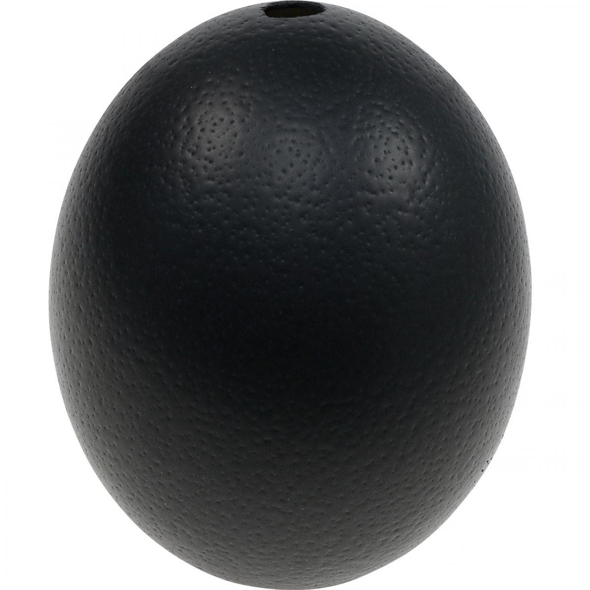 Florists Products Osterei Schwarzes Straußenei Deko Osterdeko Ausgeblasen Ø12cm H14cm