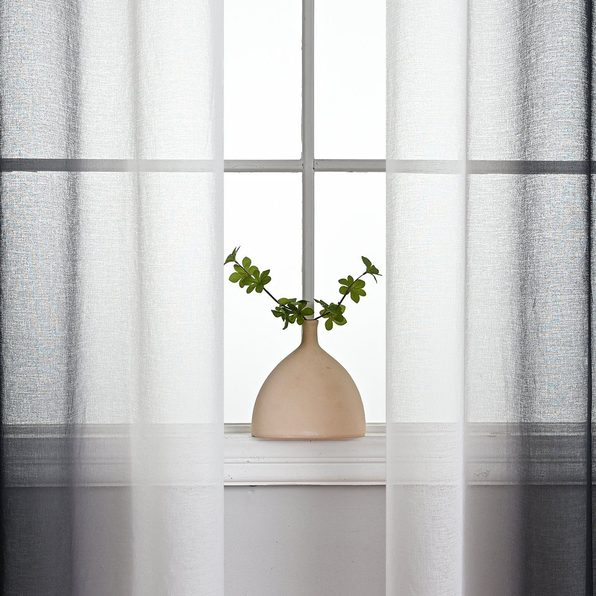 Vorhang, HOMEIDEAS, Ösen (2 Fenstervorhang Schwarz transparent, Farbverlauf Durchsichtig, St)
