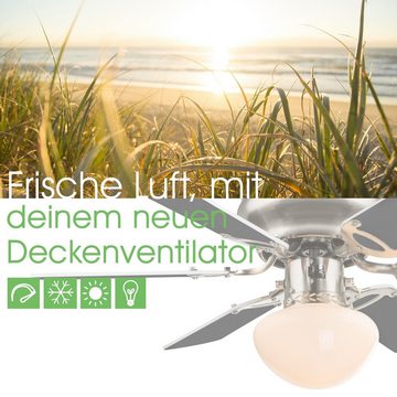 bmf-versand Deckenventilator Deckenventilator mit Beleuchtung Licht Leuchte Luftkühler inkl.
