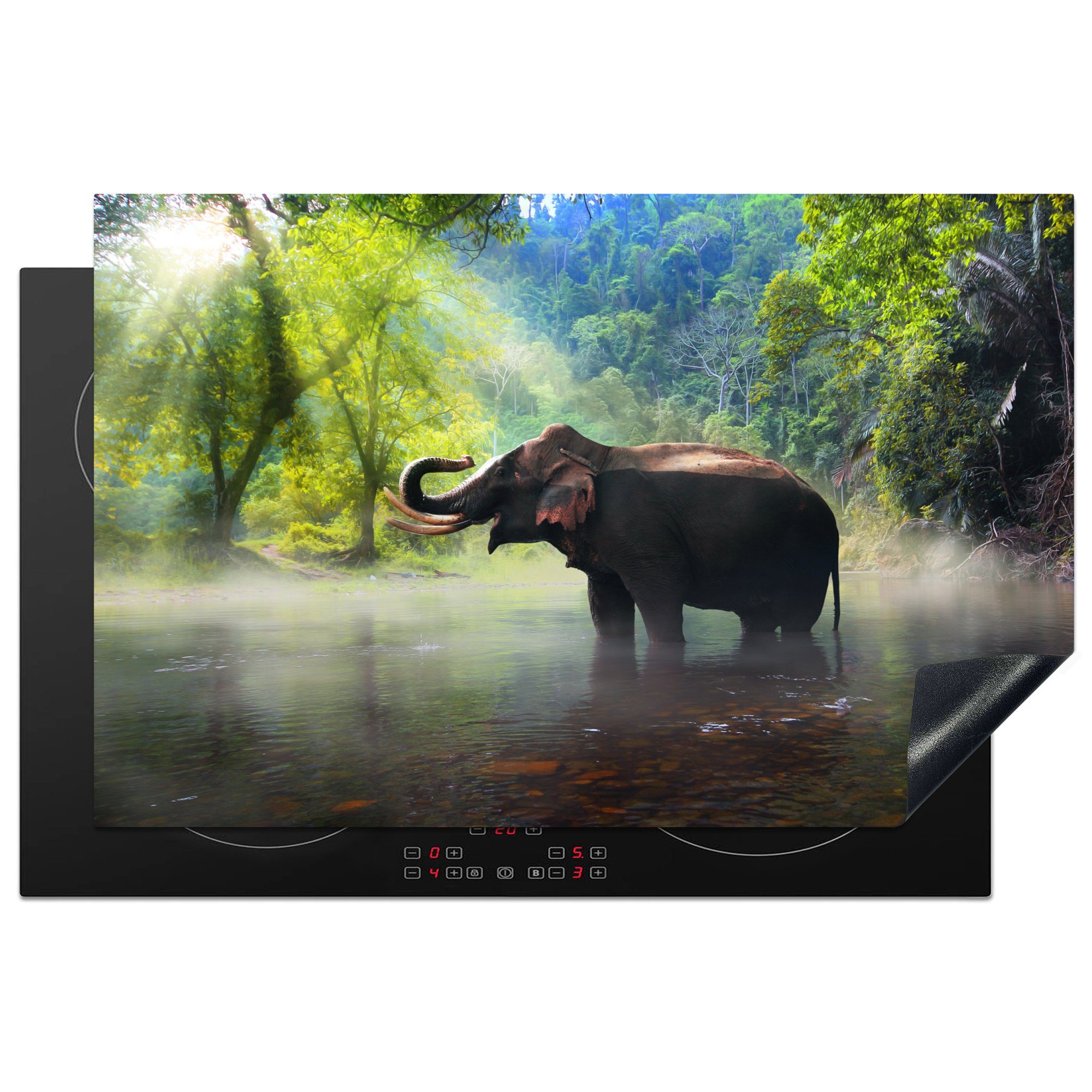 MuchoWow Herdblende-/Abdeckplatte Elefant - Wasser - Natur, Vinyl, (1 tlg), 81x52 cm, Induktionskochfeld Schutz für die küche, Ceranfeldabdeckung