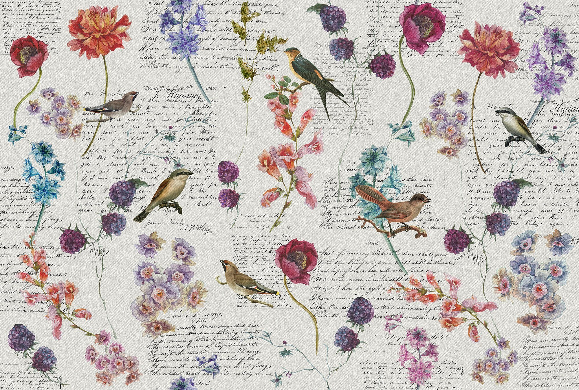 Architects Paper Fototapete Atelier 47 Bird Poetry 1, glatt, floral, (4 St), Vlies, Wand, Schräge, Decke