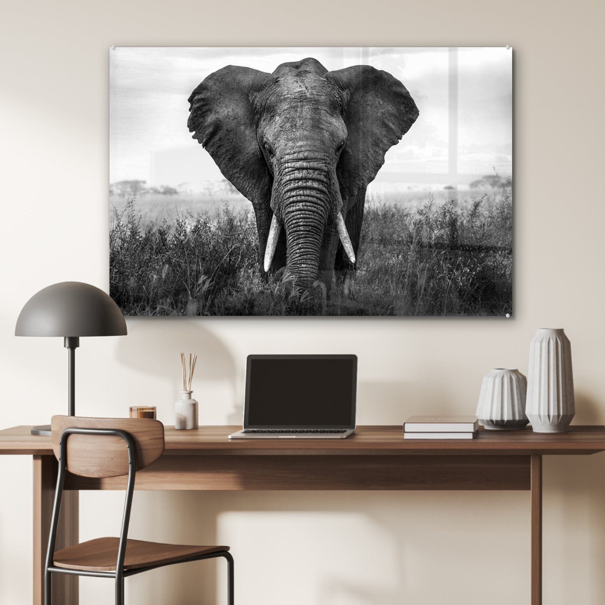 Acrylglasbilder und, Elefant Acrylglasbild (1 - schwarz im Wohnzimmer MuchoWow Gras Schlafzimmer St), & Serengeti-Nationalpark Afrikanischer im