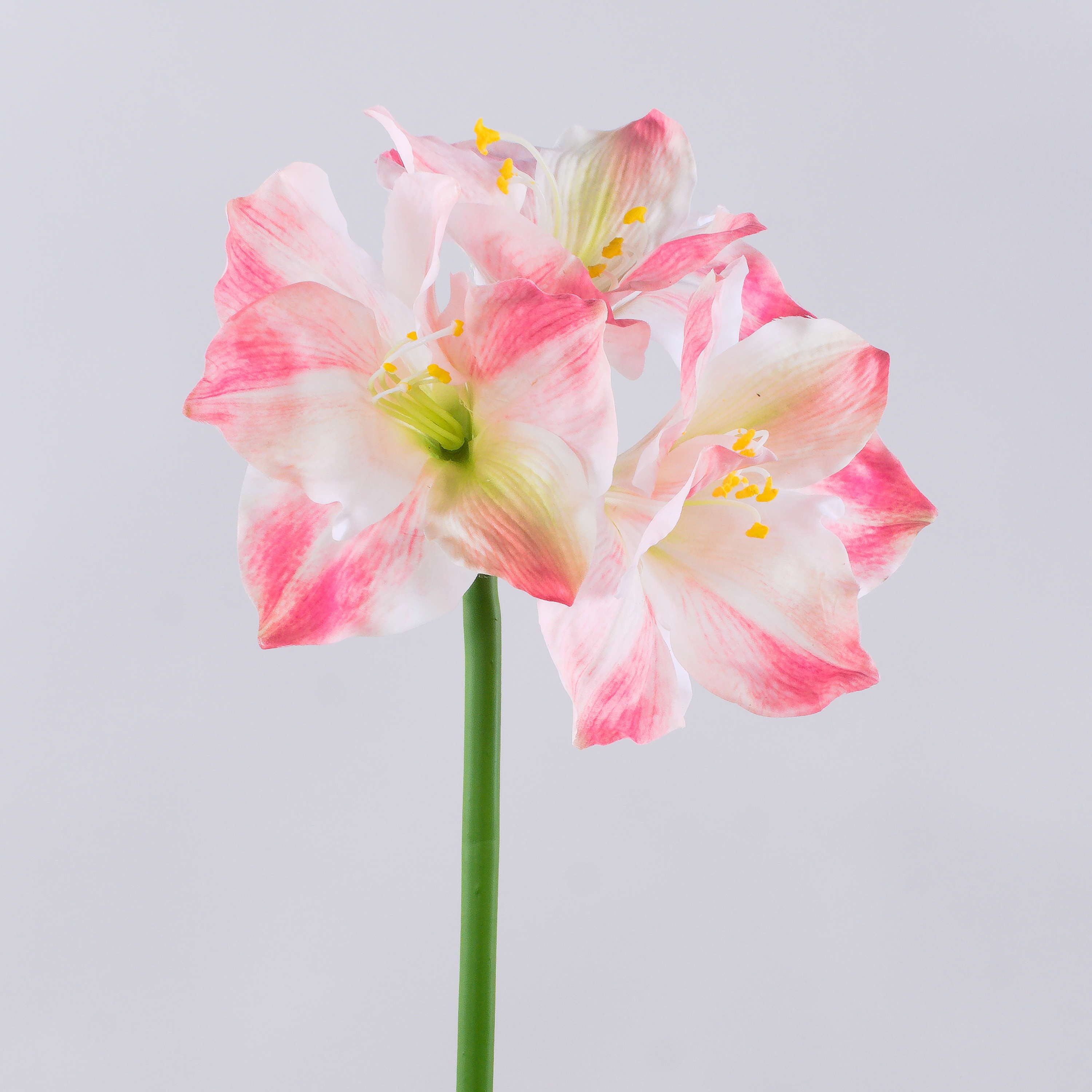 Kunstblume Amaryllis SARNUK, weiß-rosa, 80cm Amaryllis, artplants, Höhe 80.0 cm