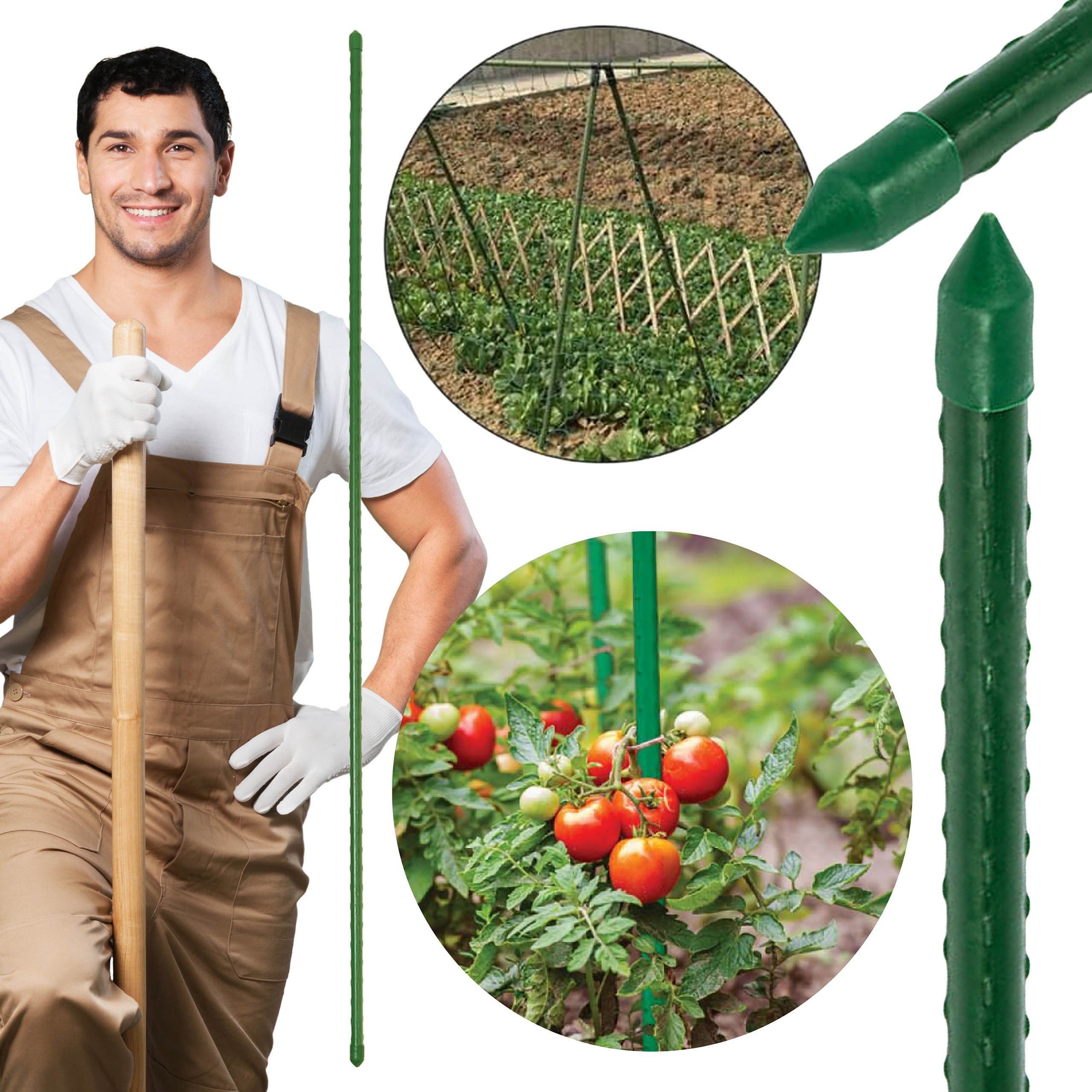 Rankhilfe Beschichtete Rankhilfe, Tomatenstütze 11mm/90 cm 1 Stück