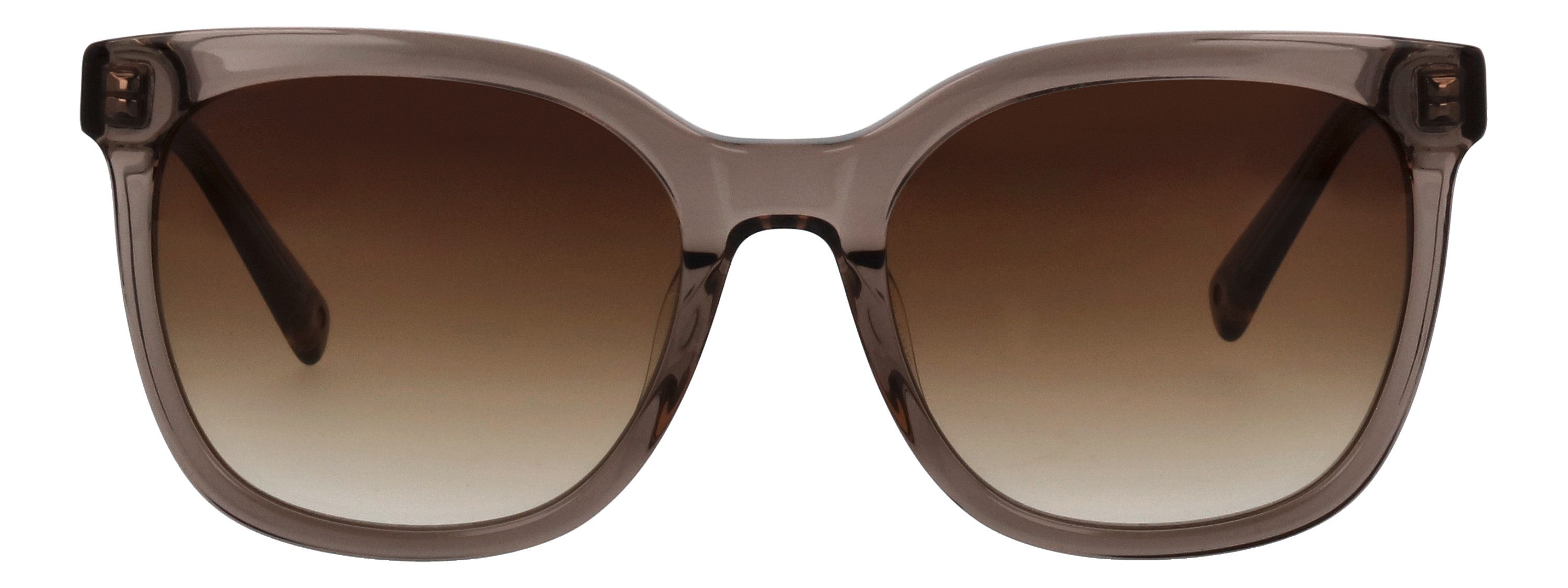 BRENDEL eyewear Sonnenbrille 906196 Form Karree/Eckig, farbigen Akzenten am günstig online kaufen