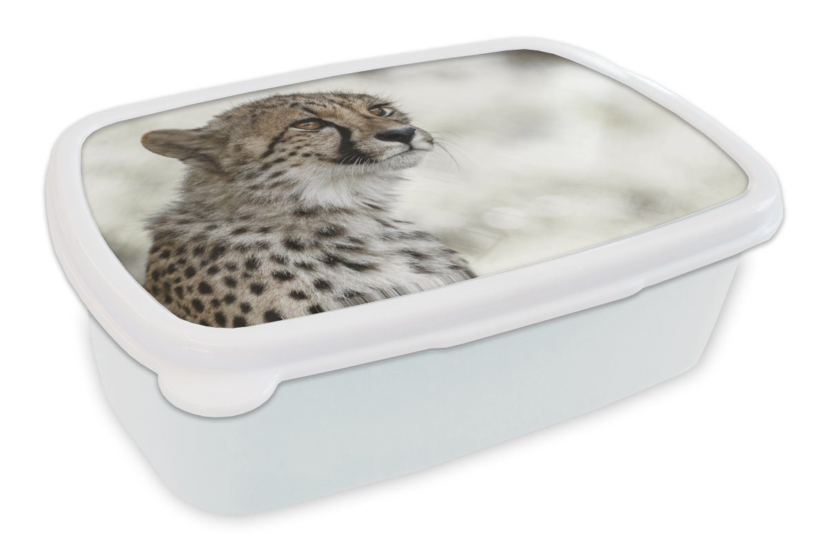 MuchoWow Lunchbox Junger Gepard im Schnee, Kunststoff, (2-tlg), Brotbox für Kinder und Erwachsene, Brotdose, für Jungs und Mädchen weiß