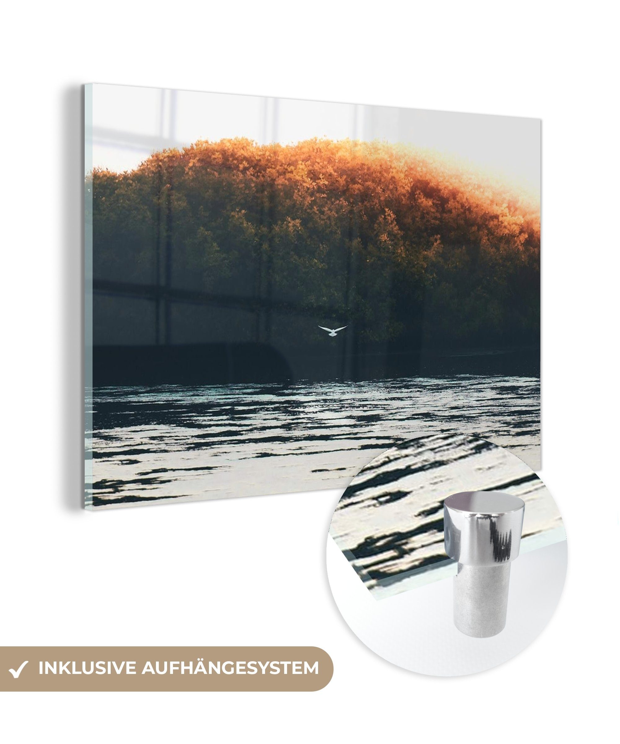 MuchoWow Acrylglasbild Vogel - Baum - Wasser, (1 St), Acrylglasbilder Wohnzimmer & Schlafzimmer