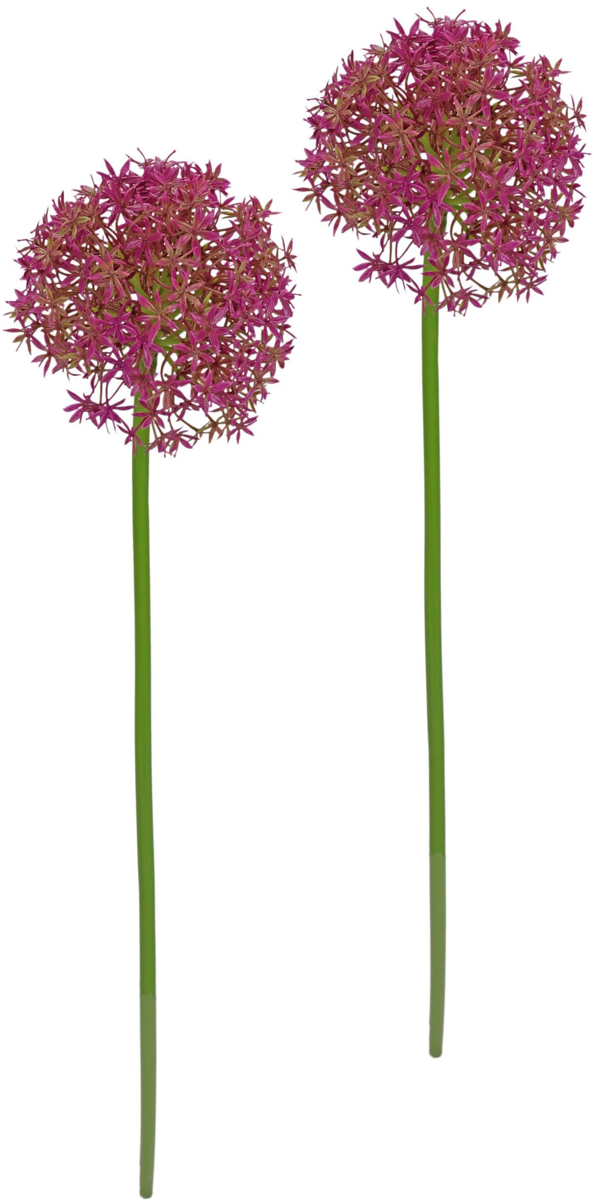 Kunstblume Allium Zierlauch, I.GE.A., Höhe 80 cm, Stielblume künstliche Blumen, 2er Set
