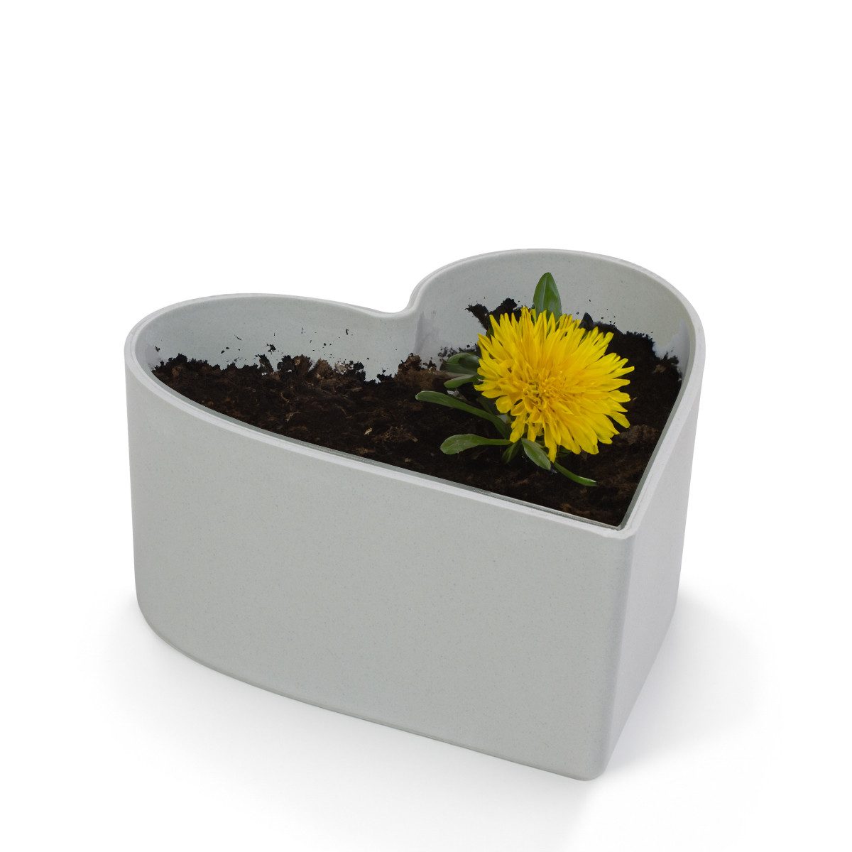 matches21 HOME & HOBBY Blumentopf Herz günstig online kaufen