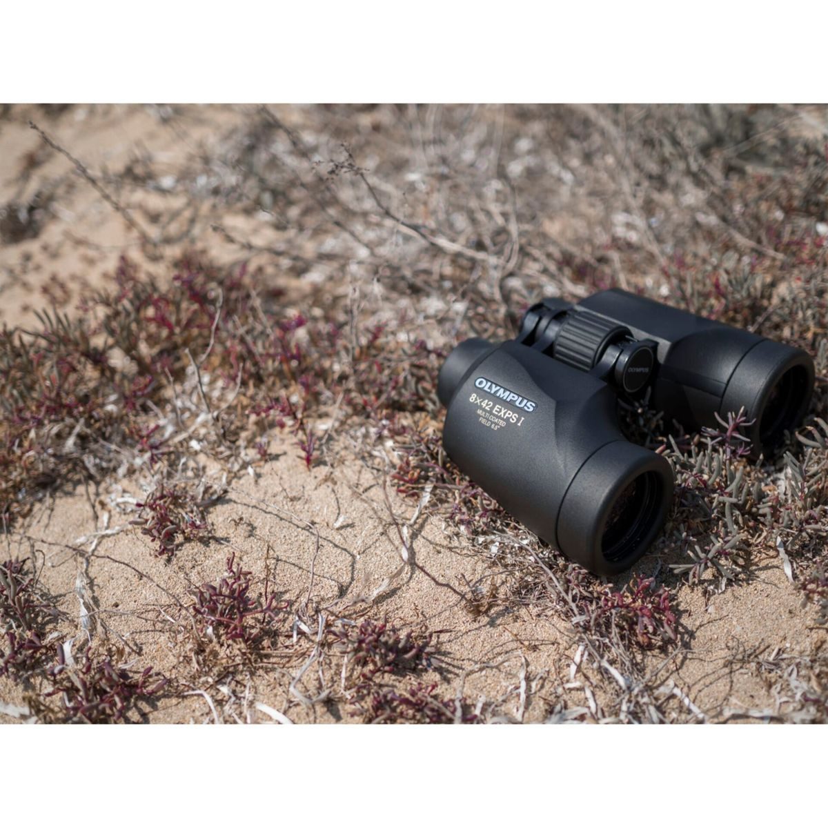 Olympus 8x42 EXPS I Fernglas