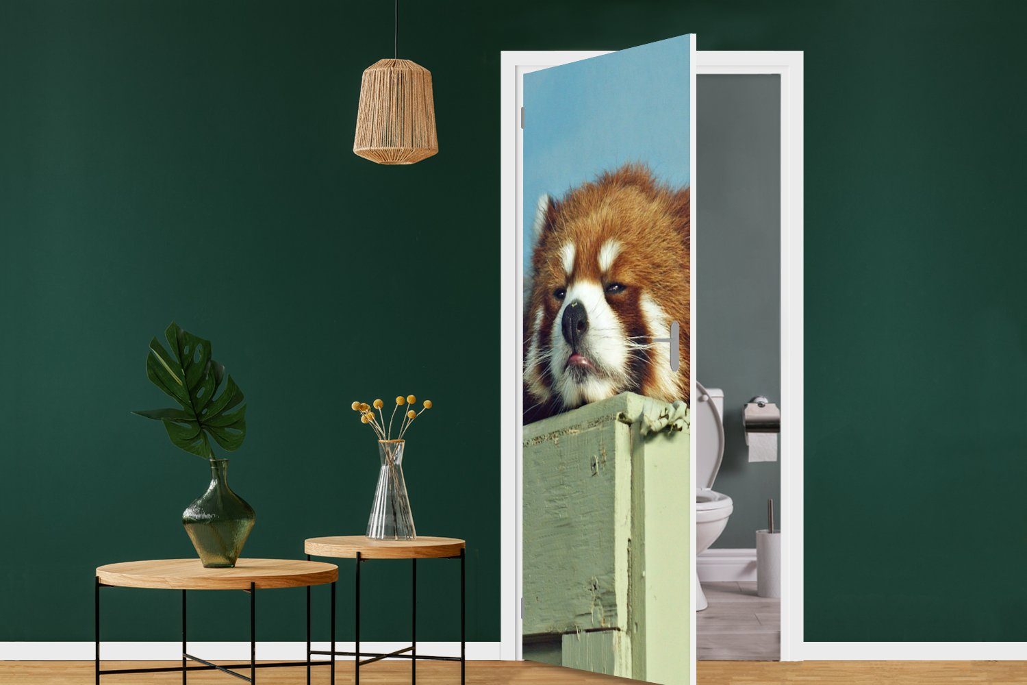 Türaufkleber, 75x205 - bedruckt, Tür, - Fototapete für Rot, Panda (1 Matt, MuchoWow Holz St), Türtapete cm