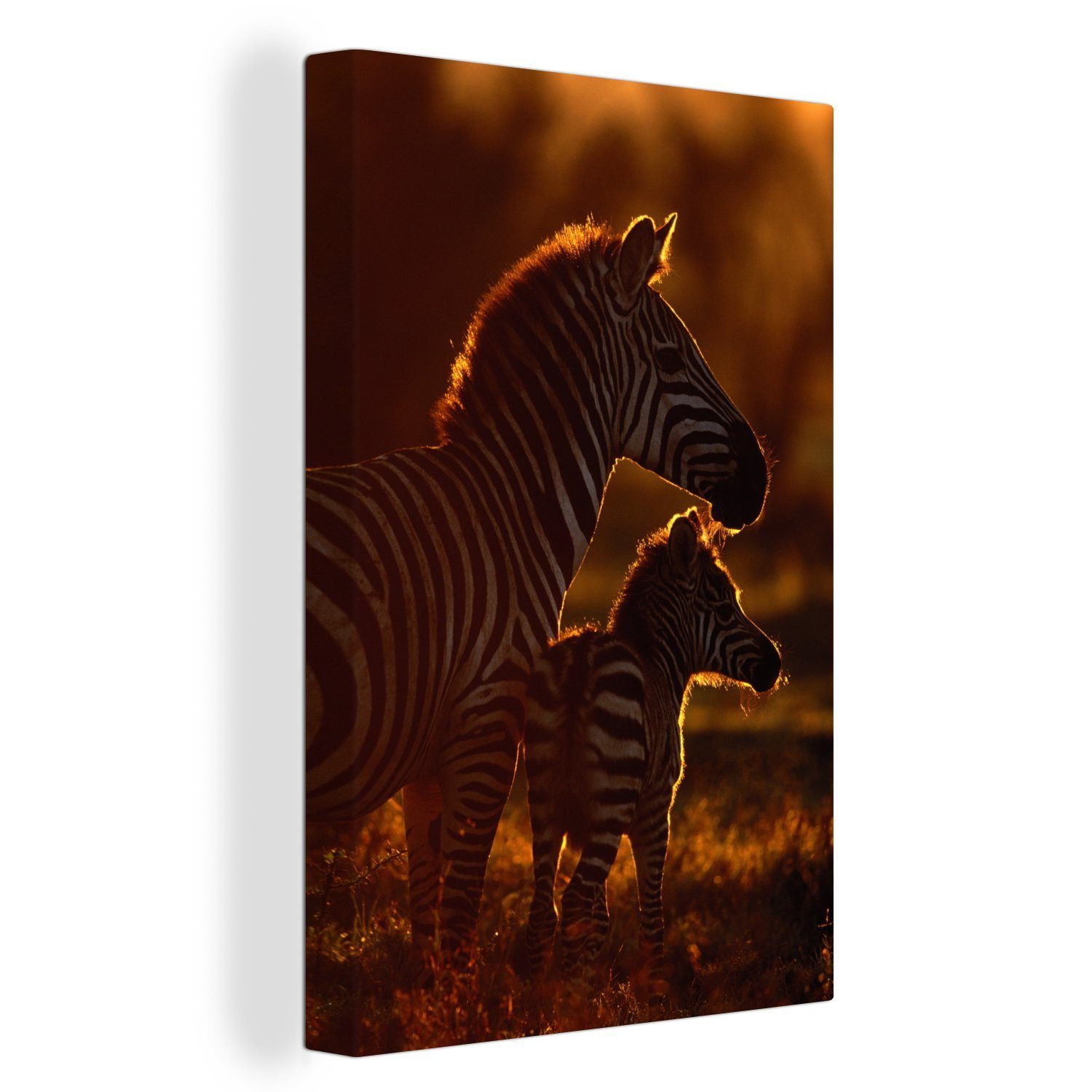 OneMillionCanvasses® Leinwandbild Zebra - Sonne - Fohlen, (1 St), Leinwandbild fertig bespannt inkl. Zackenaufhänger, Gemälde, 20x30 cm