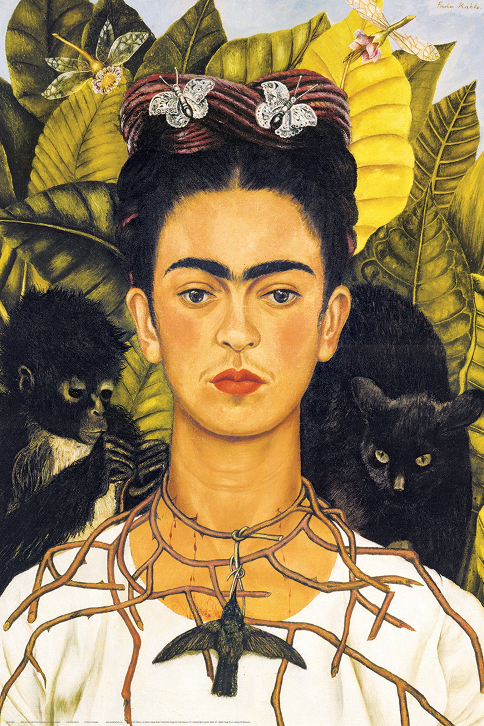 Close Up Poster Frida Kahlo Poster günstig online kaufen