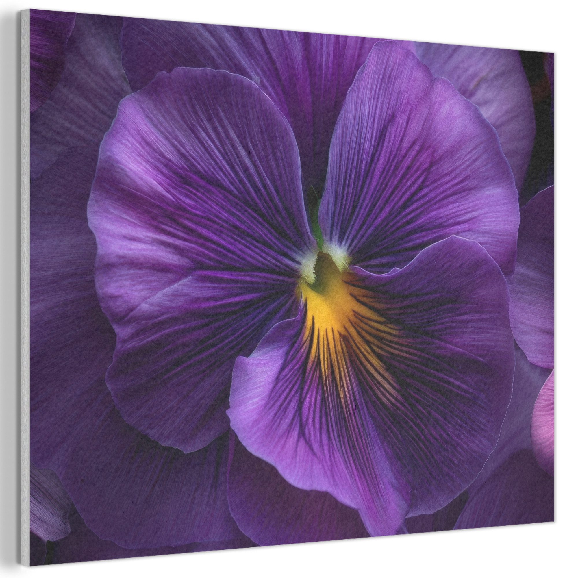 MuchoWow Картина Lila - Violine - Tiefe, Fotodruck (1 St), Akustikpaneele PET-Filz, Akustikbild, Schalldämmung, Deko 40x30 cm