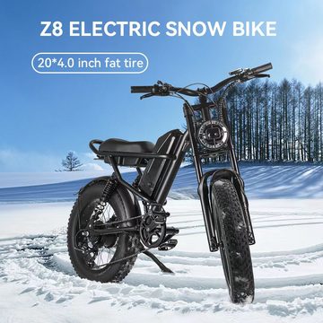 DOTMALL E-Bike E-Bike 20 Zoll 48V15.6AH E Bike 500W Motor Z8 Mountain/City bike