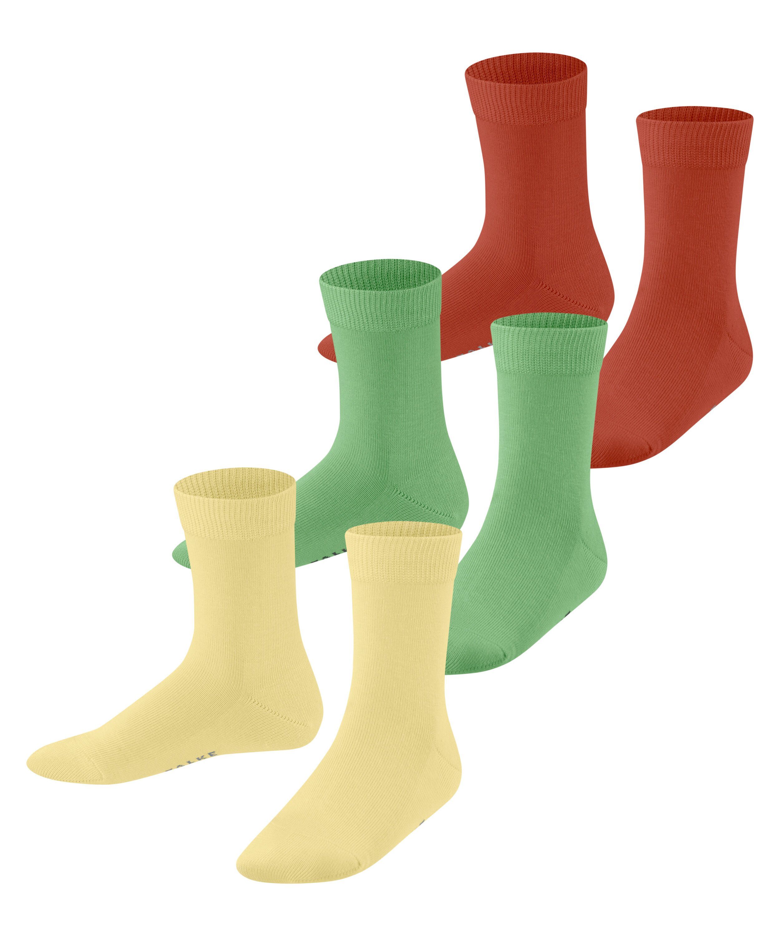 FALKE Socken Family Mixed 3-Pack (3-Paar) sortiment (0040)