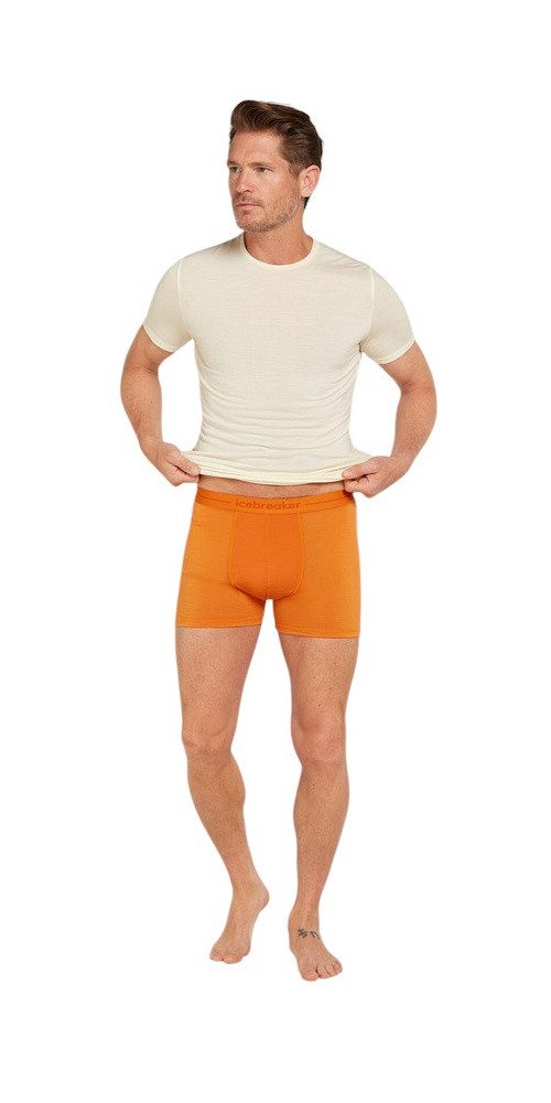 Icebreaker Boxershorts Anatomica (Merinowolle) Unterwäsche gelb Herren