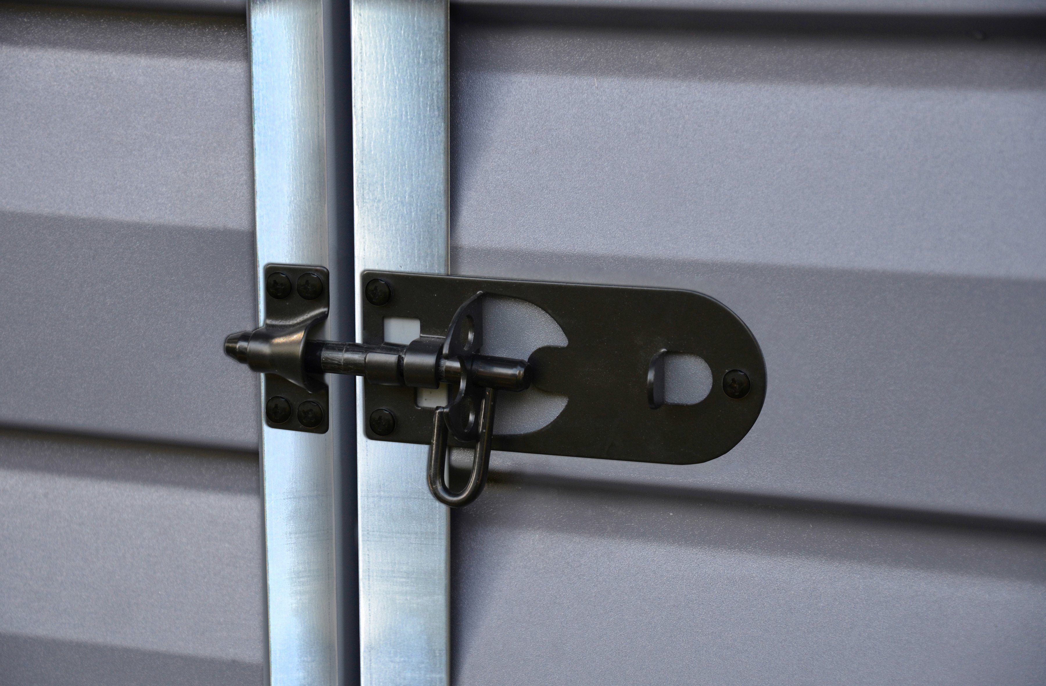 Palram - Canopia Gerätehaus Skylight 6x10, BxT: 185x305 cm, Kunststoff