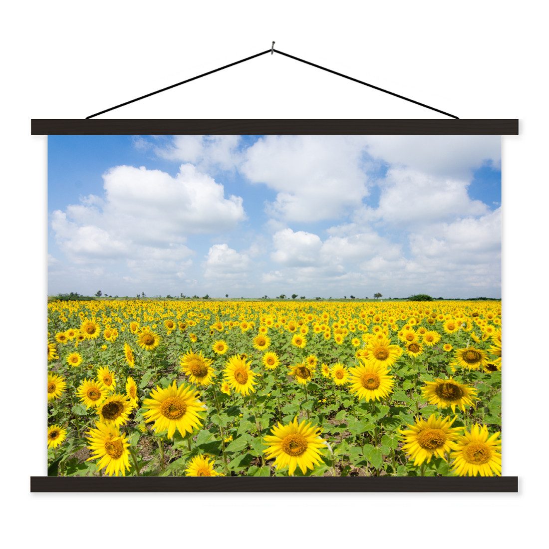 Poster Sonnenblumen - Blumen - Wolken - Natur - Gelb - Landschaft