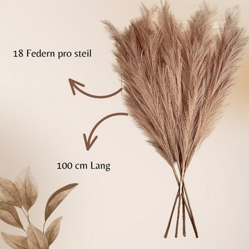 Kunstpflanze Pampas gras, Layba, Höhe 100 cm, 3 Stiele Pampas Braun