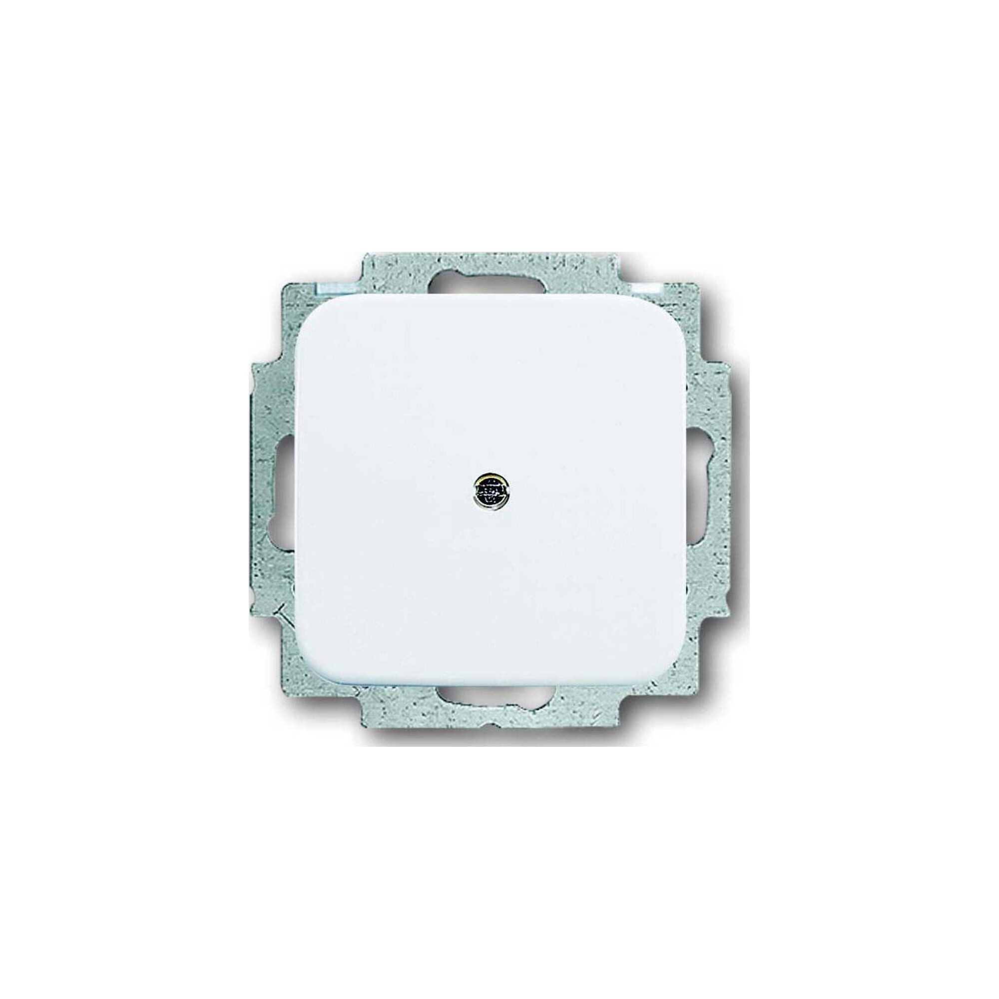 Busch-Jaeger Schieber Busch-Jaeger Blindzentralscheibe aws mit Tragring 2538-214