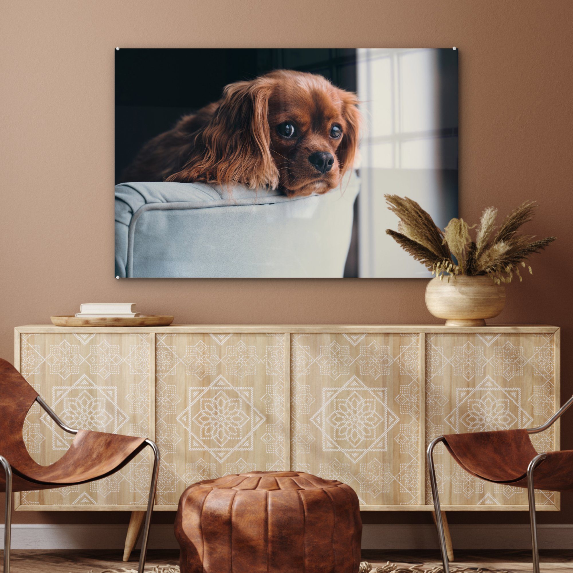 Kopf, Hund St), MuchoWow & - Acrylglasbild Wohnzimmer Schlafzimmer Stuhl (1 Acrylglasbilder -
