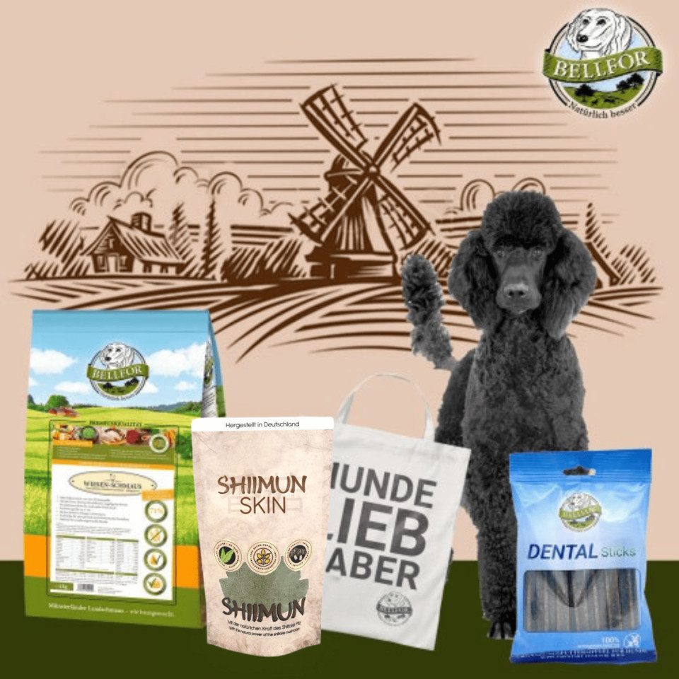 Bellfor Bellfor Groß Pudel Futter Set, für: Hunde