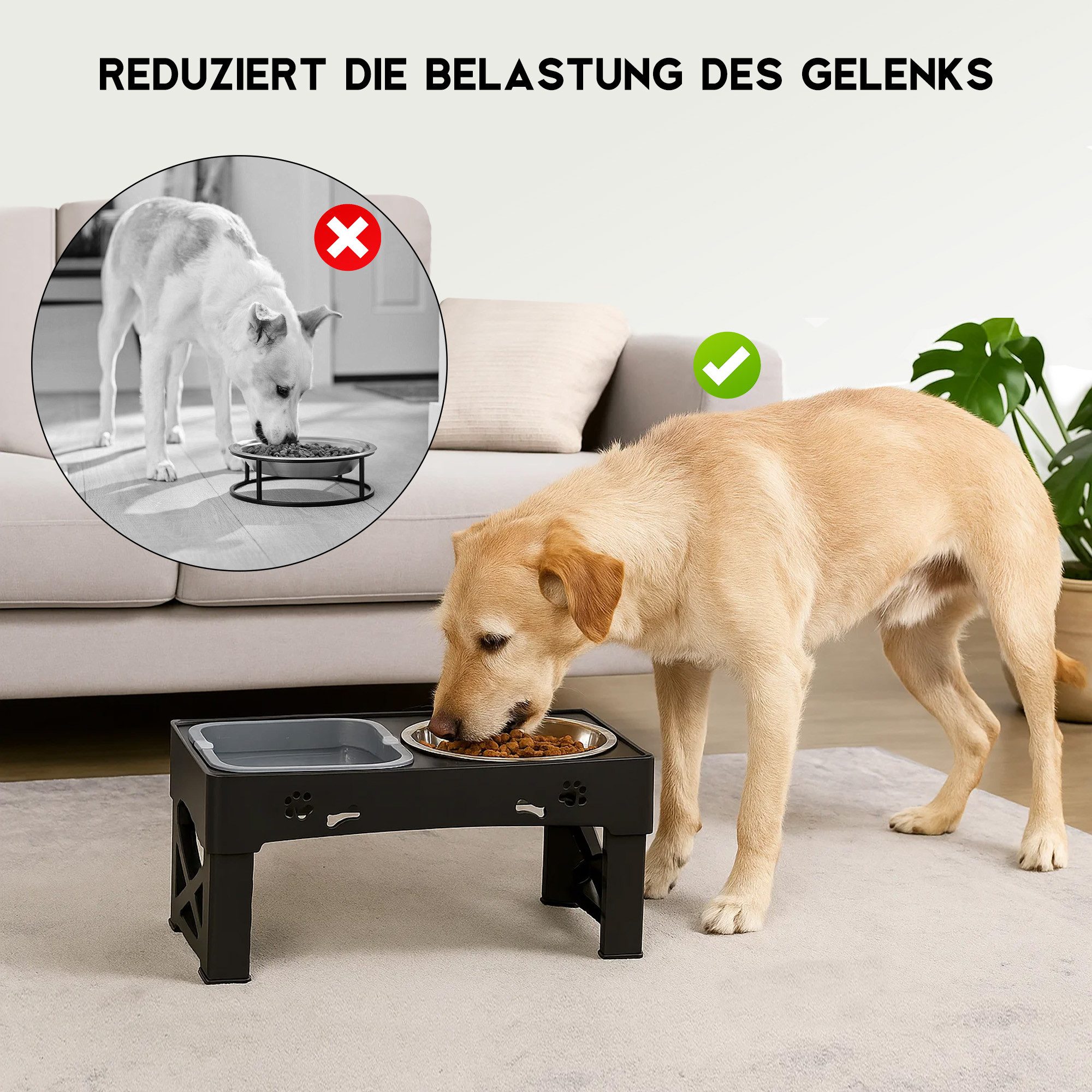 CALIYO Futternapf Adjustable Elevated Dog Bowls Raised Dog Bowl 5 Heights, Edelstahl, 2-in-1 Auslaufsicherer Wassernapf und Edelstahl-Futternapf