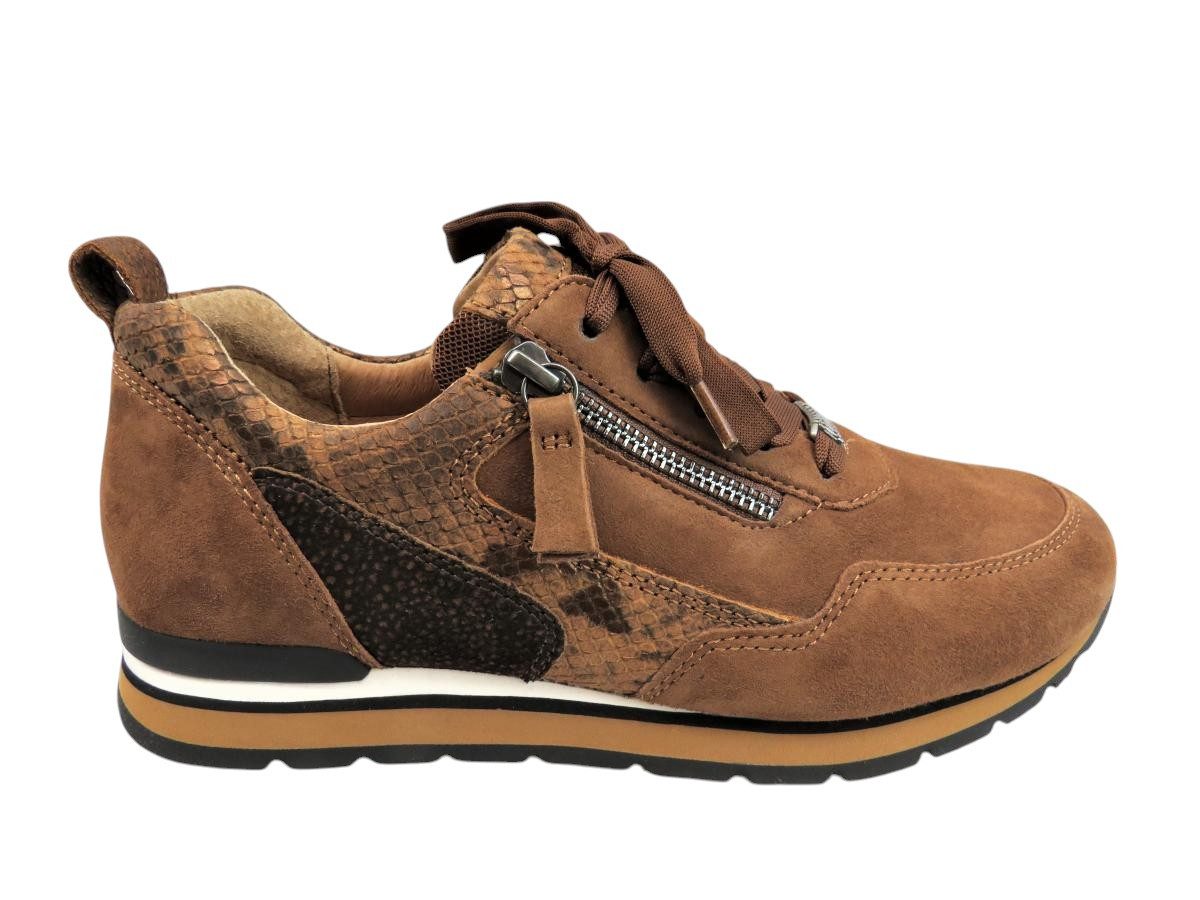 Samtchev./Snake new whisky Sneaker