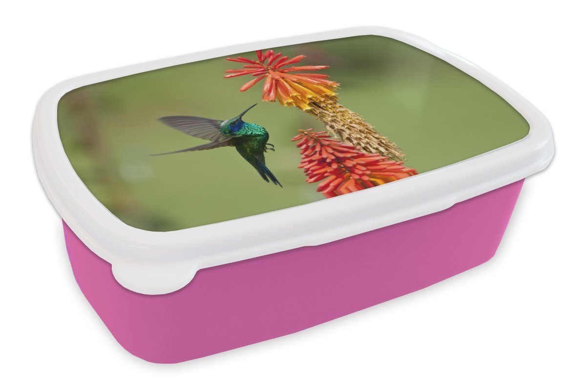 Mädchen, Lunchbox MuchoWow für Vogel Kinder, Brotbox Kunststoff Kolibri - Kunststoff, Blumen, Brotdose rosa (2-tlg), Snackbox, - Erwachsene,