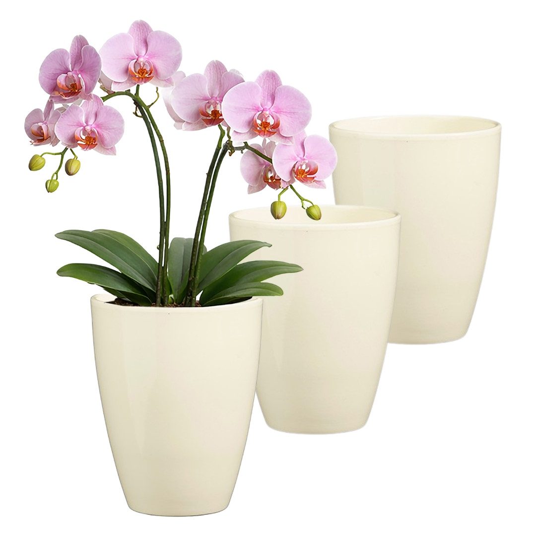 Annastore Übertopf 3 x Orchideentopf aus Keramik - Orchideenübertopf - Blumenübertopf, H 17 cm - Ø 13,5 cm