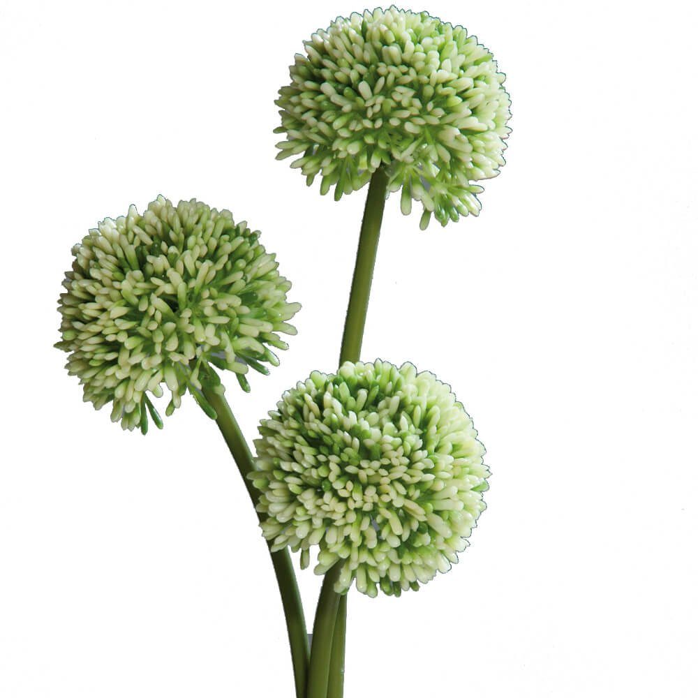 Kunstblume Lauch Blüten Allium Kunstpflanzen 3er Bund 46 cm grün Lauch Blüten, matches21 HOME & HOBBY, Höhe 46 cm, Indoor