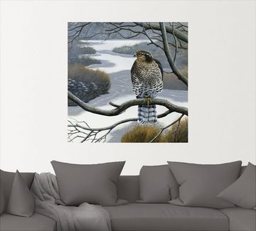 Artland Wandbild Falke im Baum, Vögel (1 St), als Leinwandbild, Wandaufkleber in verschied. Größen