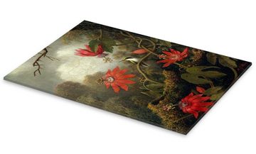 Posterlounge Acrylglasbild Martin Johnson Heade, Kolibri und Passionsblumen, Malerei