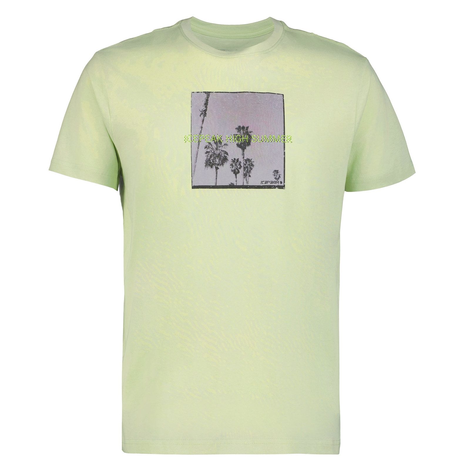 Icepeak T-Shirt Mankato mit Print auf der Vorderseite