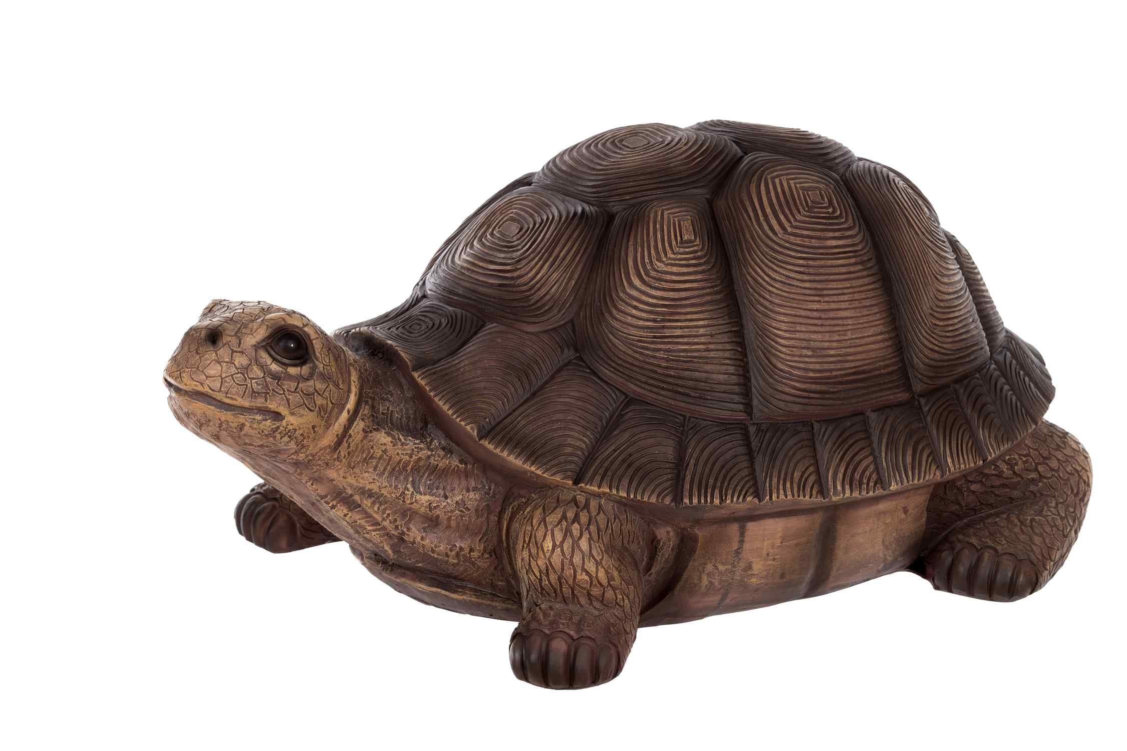 BIRENDY Dekofigur »Birendy Schildkröte Zwerg Gartenzwerg Gartenwichtel