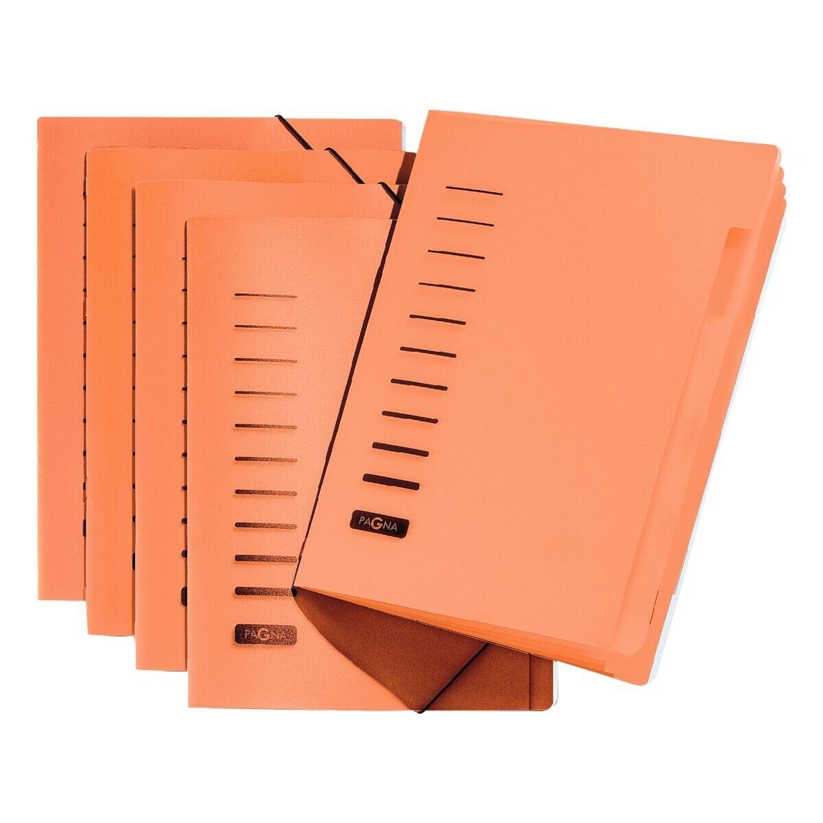 PAGNA Organisationsmappe, Ordnungsmappe mit 6 Fächern, farbiges Register, A4