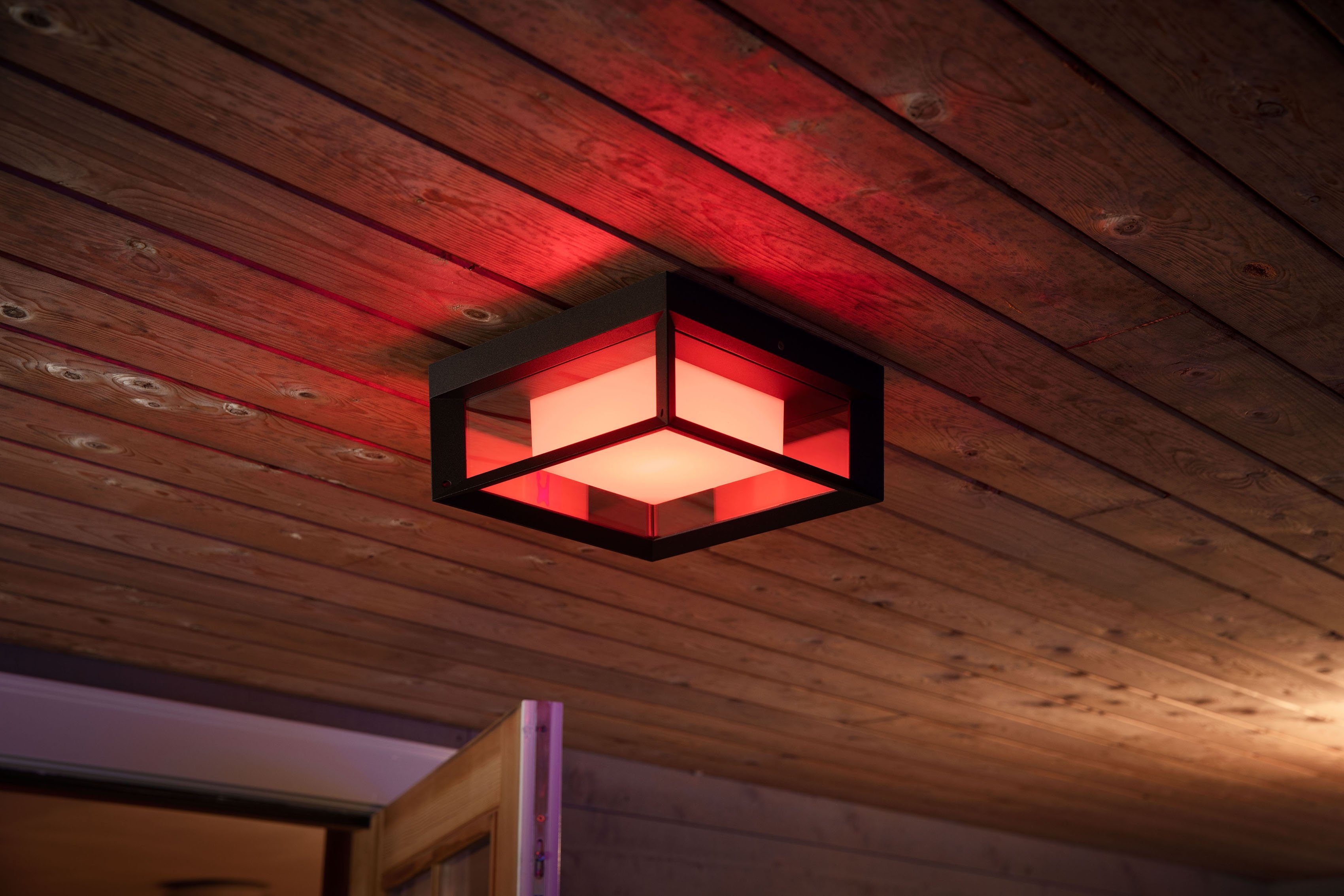 Home, Helligkeitsstufen, Kaltweiß, Tageslichtweiß, Außen-Wandleuchte Smart Warmweiß LED Philips fest mehrere einstellbar, Extra-Warmweiß, Dimmfunktion, Hue integriert, Neutralweiß, Econic, LED Leuchtdauer