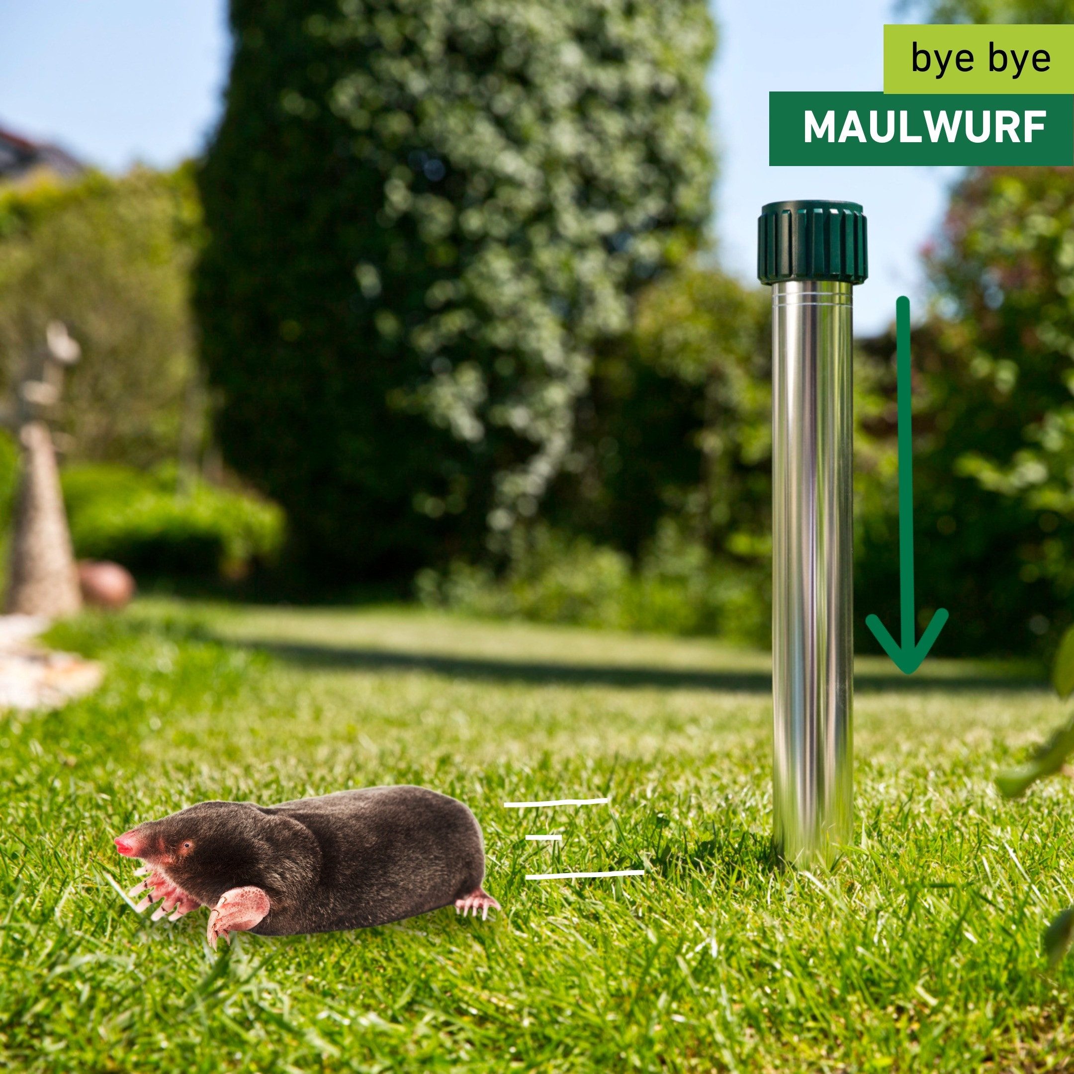 Windhager Ultraschall-Tierabwehr Maulfwurfschreck und Wühlmausvertreiber Premium, batteriebetrieben, Wirkungsbereich 900 m² mit Resonanzschwingungen und Ultrasc – Bild 2 von 5