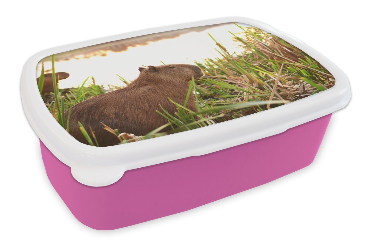 MuchoWow Lunchbox Ein Capybara zwischen dem hohen Schilf, Kunststoff, (2-tlg), Brotbox für Erwachsene, Brotdose Kinder, Snackbox, Mädchen, Kunststoff rosa