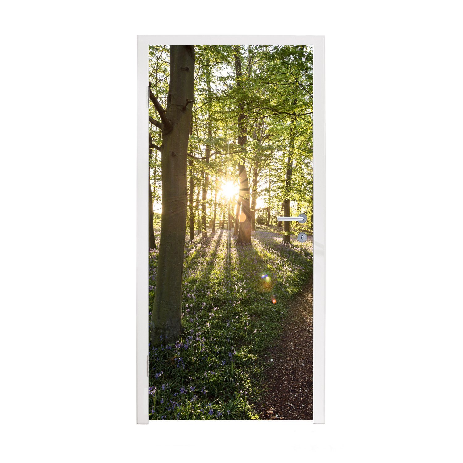 MuchoWow Türtapete Wald - Baum - Sonne, Matt, bedruckt, (1 St), Fototapete für Tür, Türaufkleber, 75x205 cm