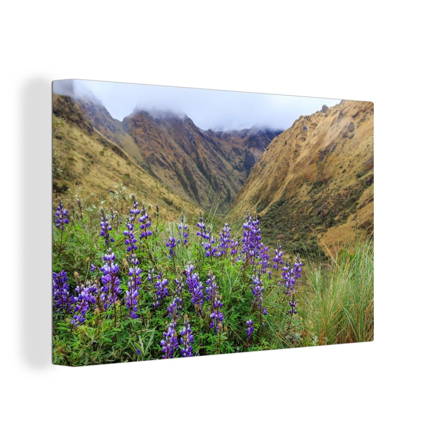 OneMillionCanvasses® Leinwandbild Inka-Bergpfad nach Machu Picchu mit lila Blumen Peru, (1 St), Wandbild Leinwandbilder, Aufhängefertig, Wanddeko, 30x20 cm