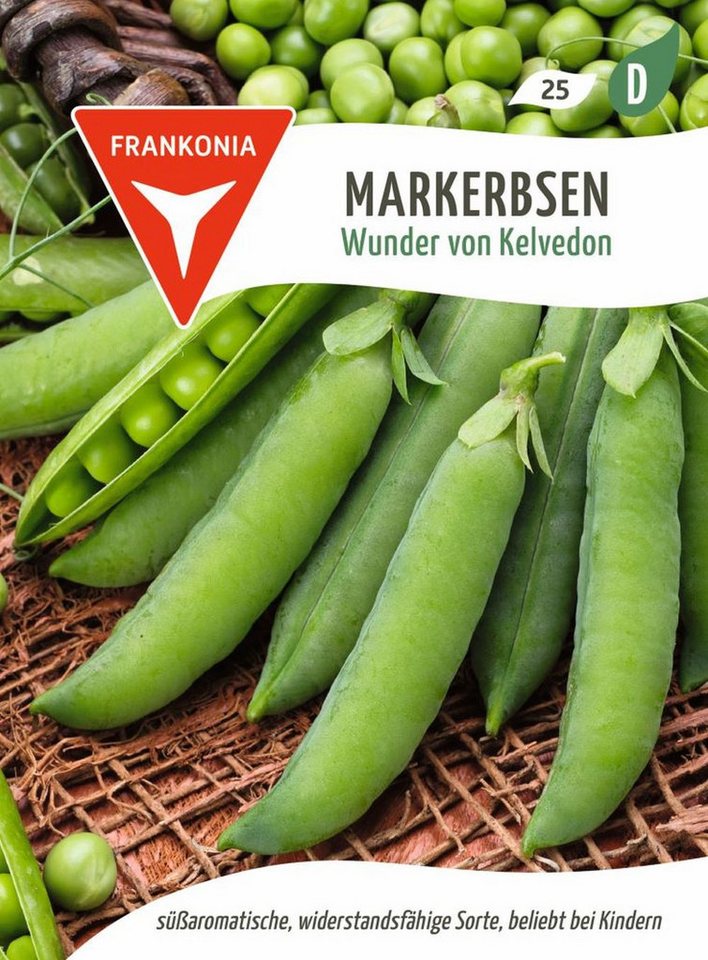 FRANKONIA Gemüsesamen Markerbse, Wunder von Kelvedon - Erbsen-Samen süß-zart, Einfrieren, Pisum sativum