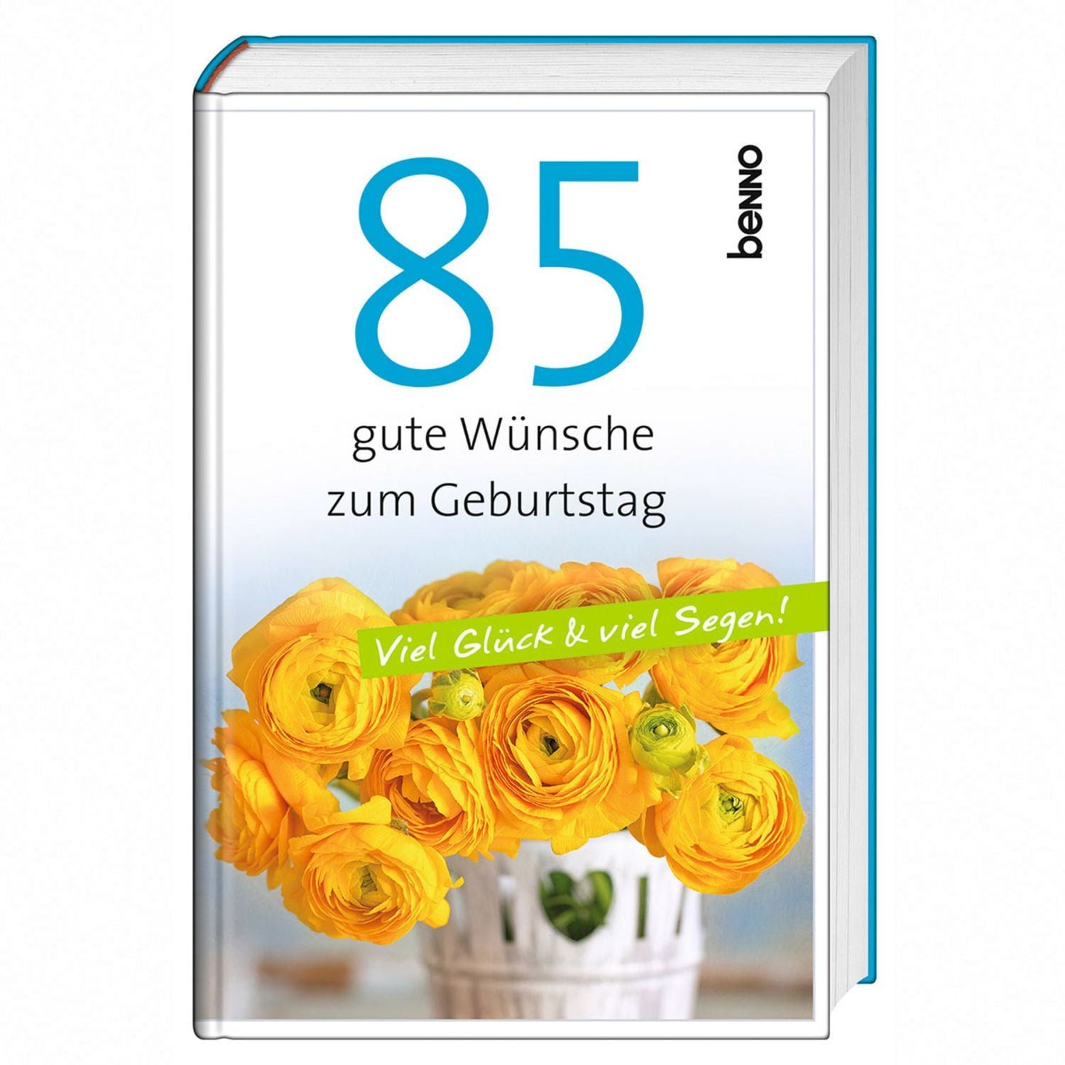 85 gute Wünsche zum Geburtstag / diverse
