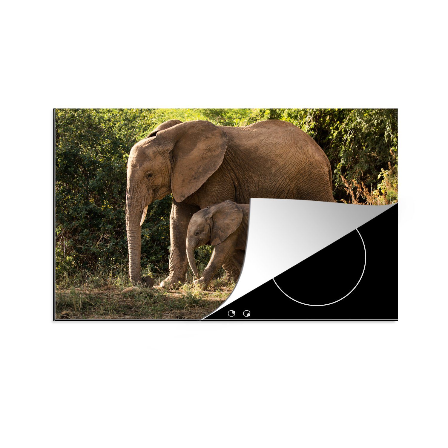 MuchoWow Herdblende-/Abdeckplatte Wanderndes Elefantenbaby mit seiner Mutter, Vinyl, (1 tlg), 81x52 cm, Induktionskochfeld Schutz für die küche, Ceranfeldabdeckung | Herdabdeckplatten