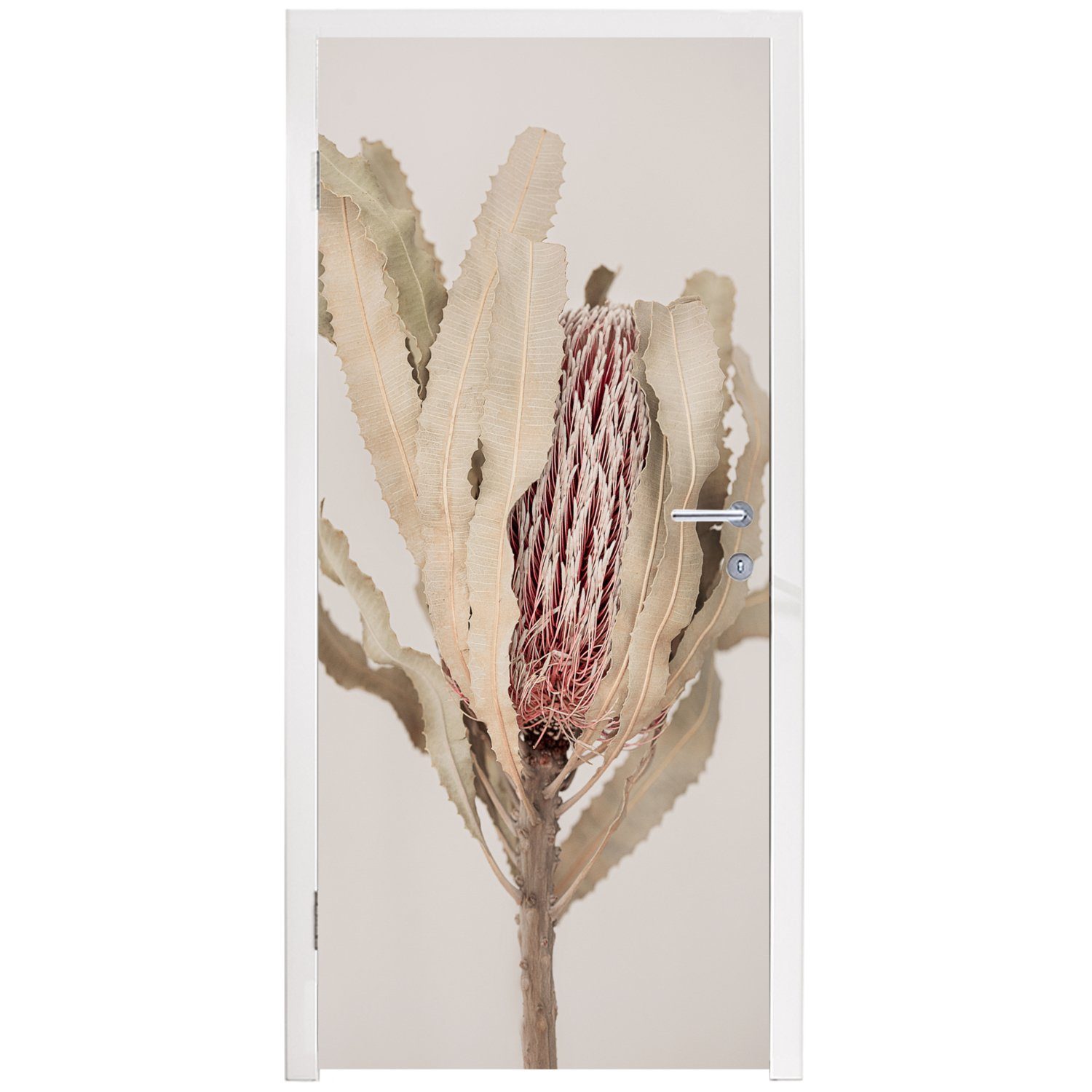 MuchoWow Türtapete Pflanze - Natur (1 Matt, cm - 75x205 Türaufkleber, - Grau, Tür, für Braun St), bedruckt, Fototapete