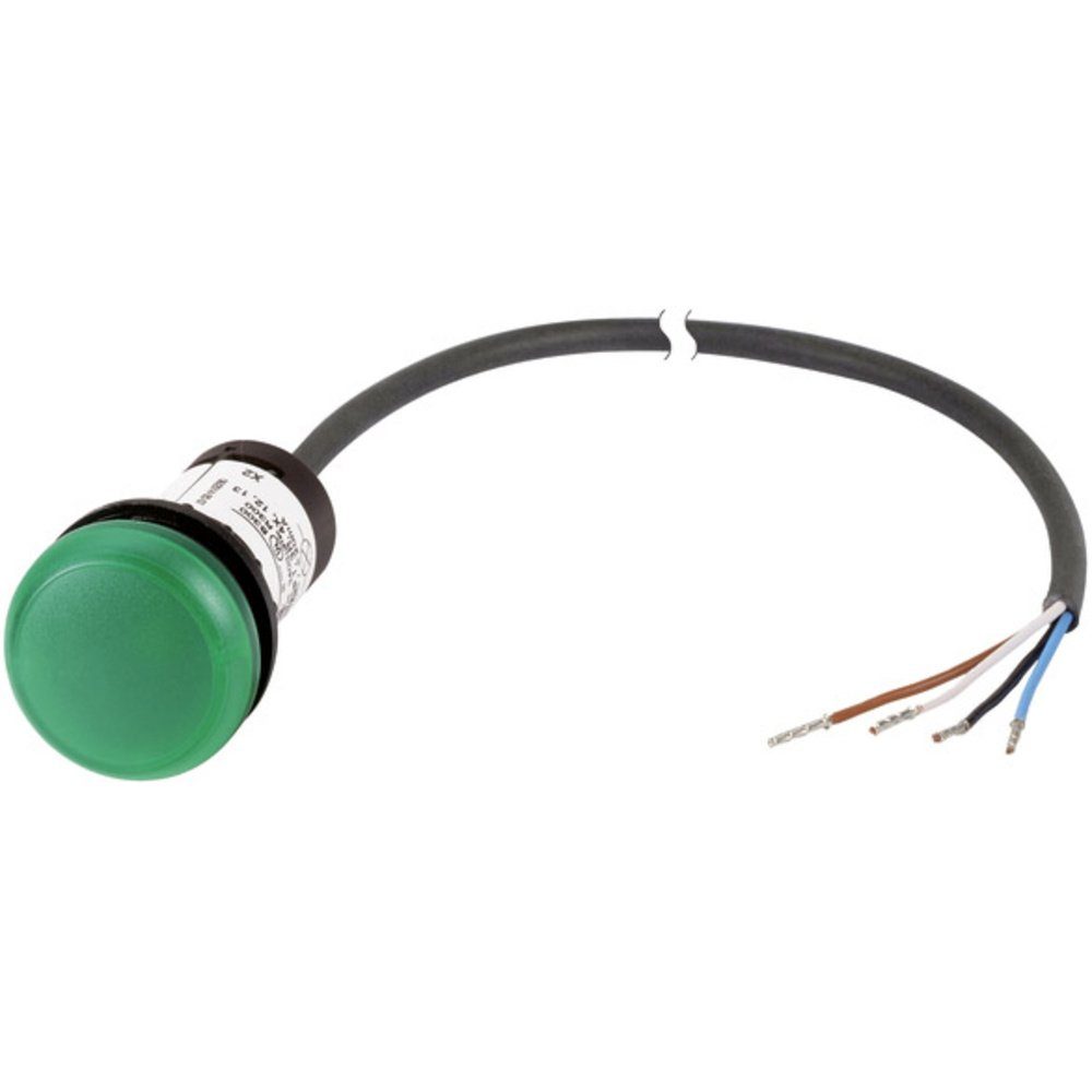 EATON Sensor DC/AC Meldeleuchte (C22-L-G-24-P62) flach 24 V 1 Grün St., Eaton C22-L-G-24-P62