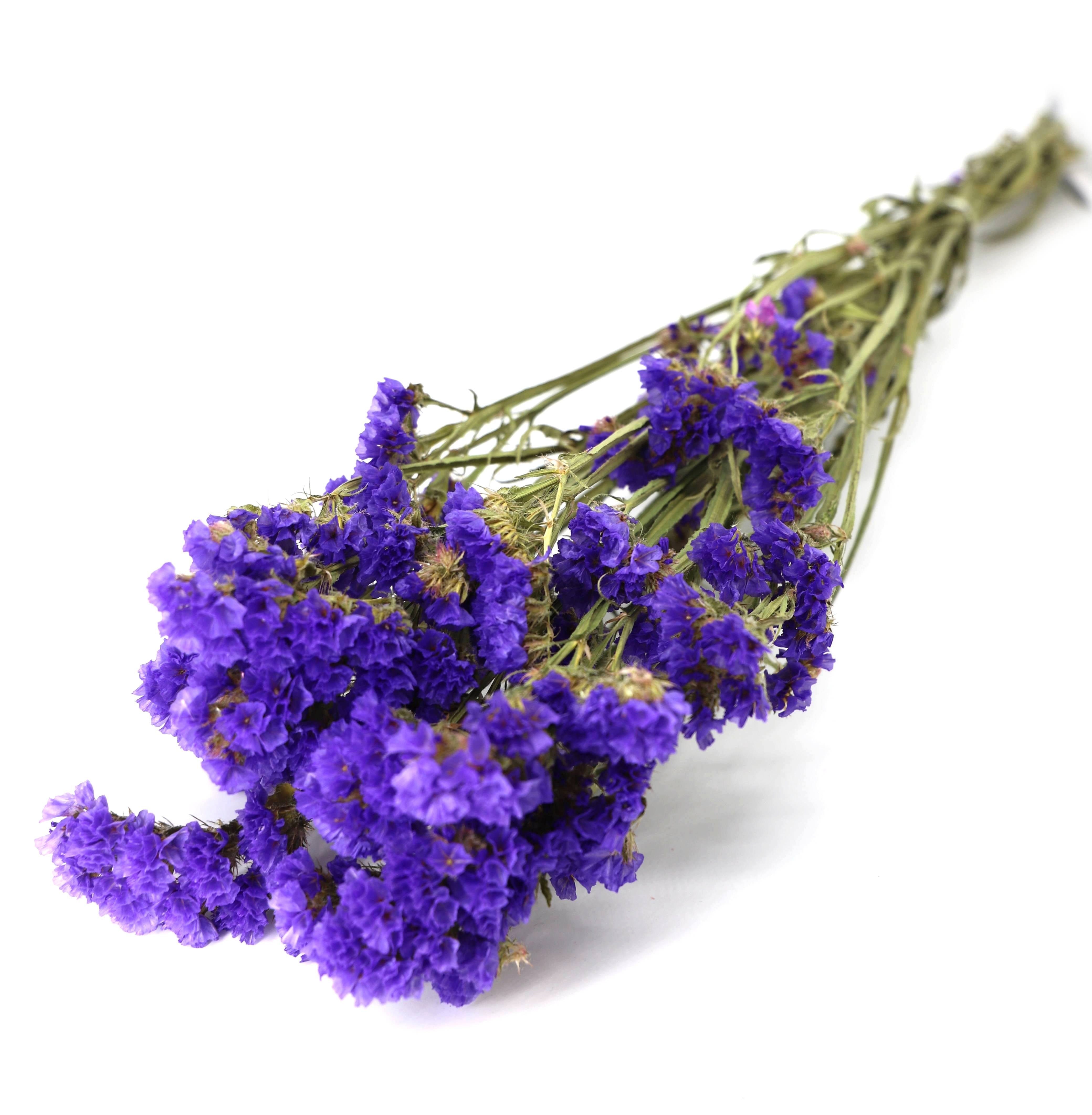 Trockenblume Großer Blumenstrauß mit Statice in Rosa, Blau, Lila, Gelb - Blau, Kunstharz.Art | Trockenblumen