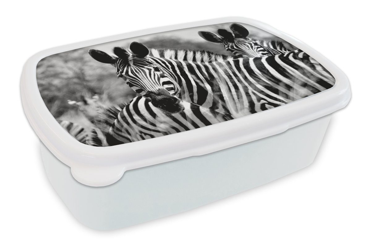 MuchoWow Lunchbox Zebra - Schwarz - Weiß - Tiere, Kunststoff, (2-tlg), Brotbox für Kinder und Erwachsene, Brotdose, für Jungs und Mädchen