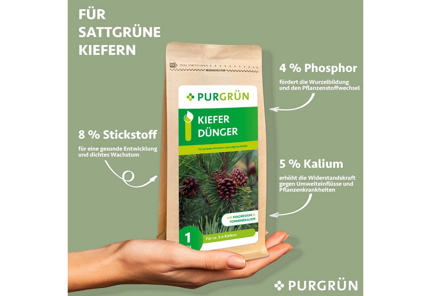 Thumbnail - Purgrün Gartendünger Purgrün Kiefer Dünger, NPK 5+4+6, Magnesium für grüne Nadeln, 1 kg, Krümelgranulat, Extra Kalium fü...